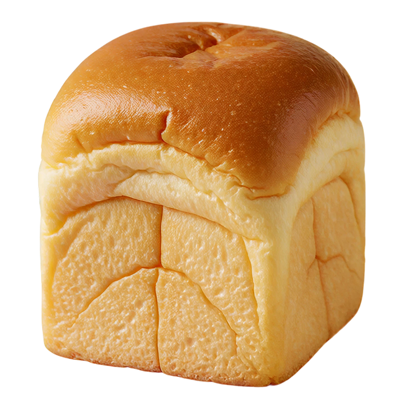 Shoccupan