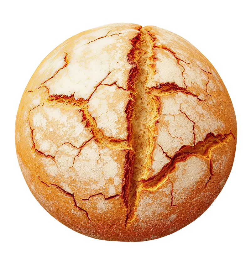 Wild Sourdough